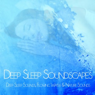 Deep Sleep Soundscapes: Deep Sleep Sounds, Flowing Water & Nature Sounds