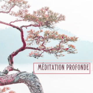 Méditation Profonde: Musique Relaxante de la Nature pour la Pleine Conscience et la Gestion du Stress