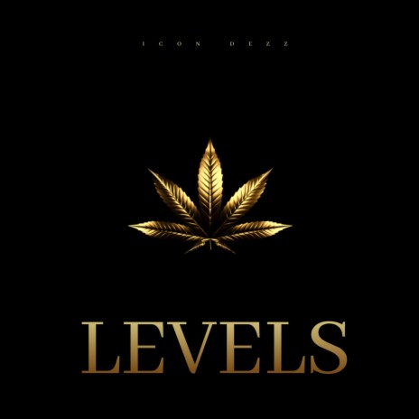 Levels ft. Icon Dezz & Instrumental Icons | Boomplay Music