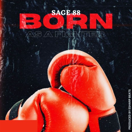 Born As A Fighter | Boomplay Music