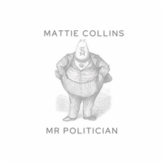 Mr Politician