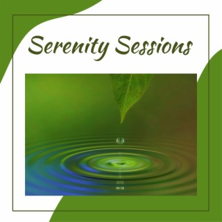 Serenity Sessions: Relaxing Instrumental Music for Sleep, Meditation and Stress Relief with Water Sounds