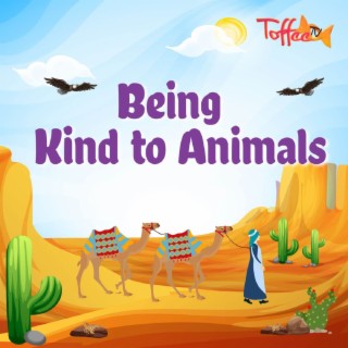 Being Kind To Animals