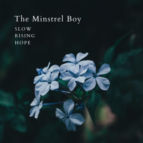 The Minstrel Boy (Cello Version)