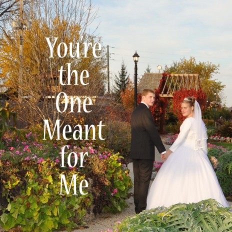 You're the One Meant for Me | Boomplay Music