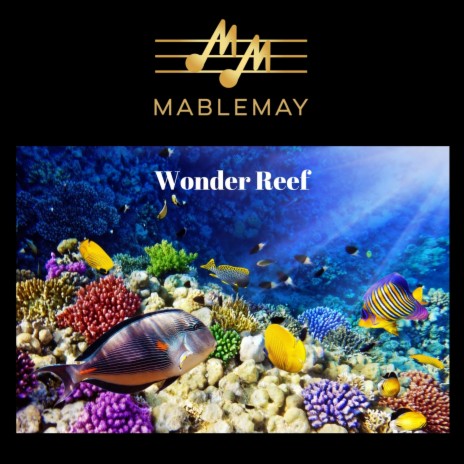 Wonder Reef | Boomplay Music