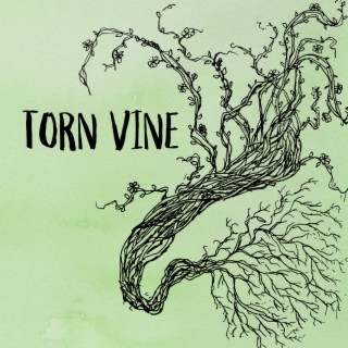 Torn Vine