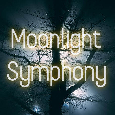Moonlight Symphony | Boomplay Music