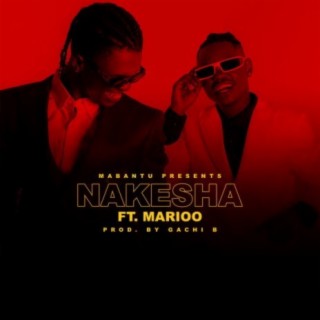 Nakesha ft. Marioo lyrics | Boomplay Music