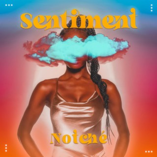 Sentiment lyrics | Boomplay Music