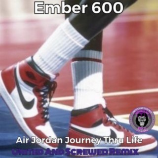 Air Jordan Journey Thru Life