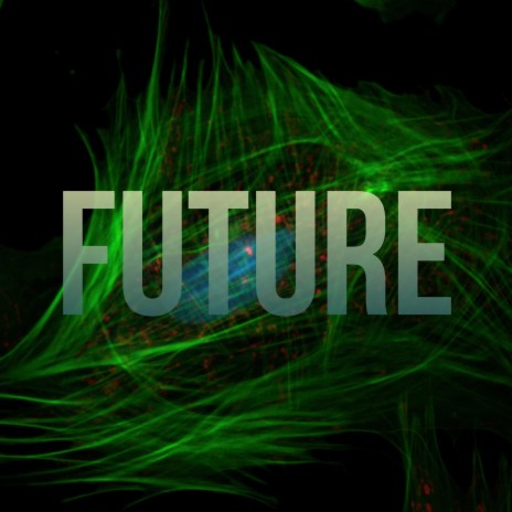 Future | Boomplay Music