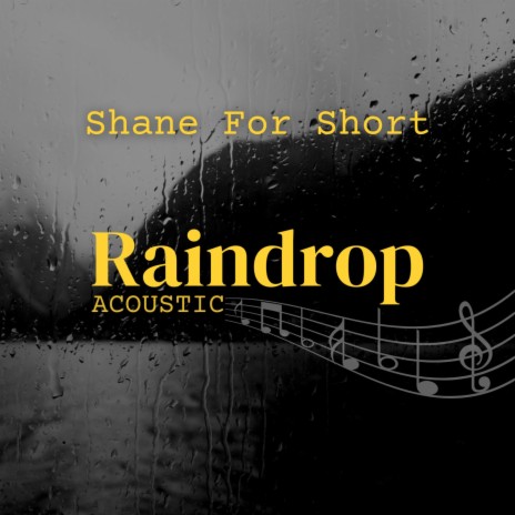 Raindrop (Acoustic) | Boomplay Music