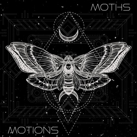 Moths | Boomplay Music
