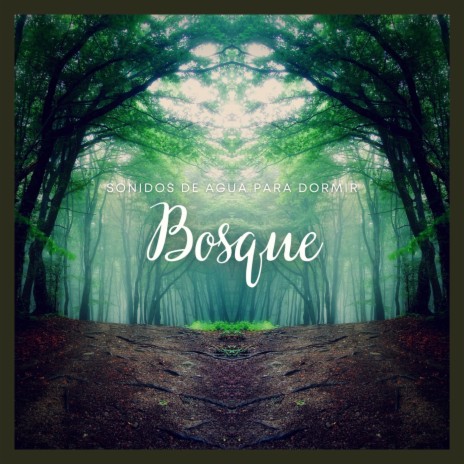 Sonidos de Agua para Dormir: Bosque, Pt. 18 | Boomplay Music