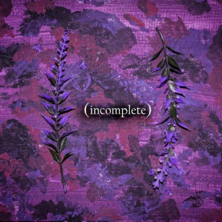 Incomplete lyrics | Boomplay Music