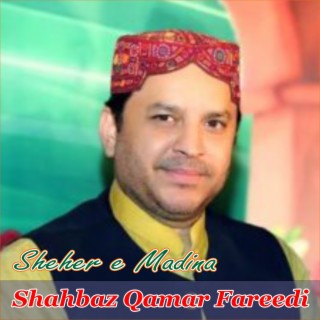 Shahbaz Qamar Fareedi