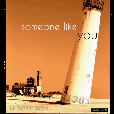 someone like you