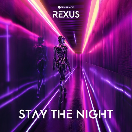 Stay The Night | Boomplay Music