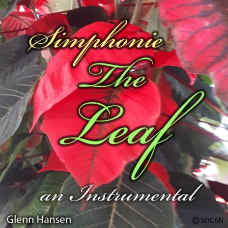 Simphonie The Leaf | Boomplay Music