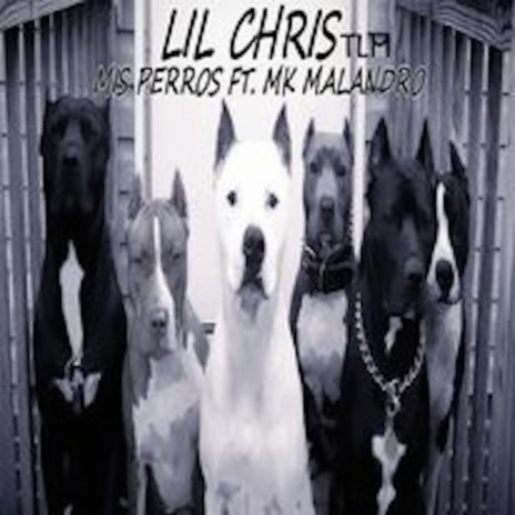 MIS PERROS ft. Mk Malandro & Lil Chris Tlm | Boomplay Music