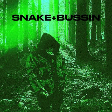 SNAKE+BUSSIN | Boomplay Music