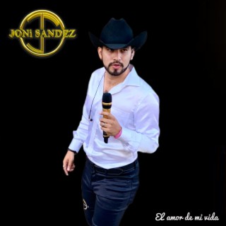 El amor de mi vida lyrics | Boomplay Music