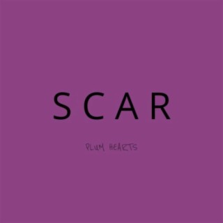 Scar lyrics | Boomplay Music