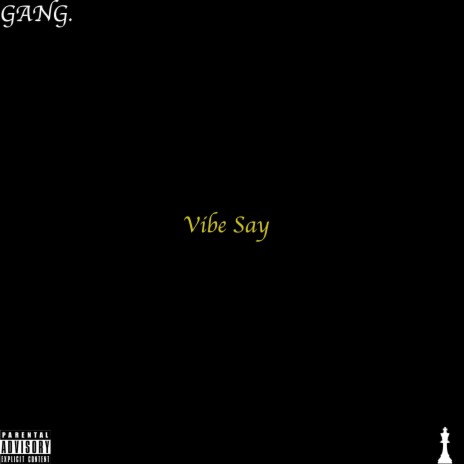 VIBE SAY (feat. Lache & Bari) | Boomplay Music