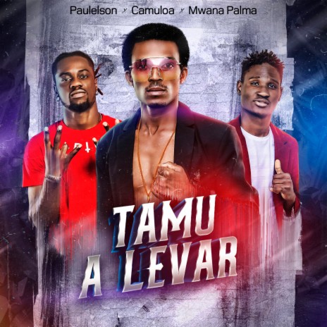 Tamu a Levar ft. Paulelson & Mwana Palma | Boomplay Music