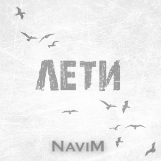 NaviM