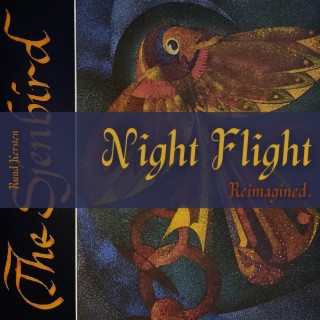 Night Flight (reimagined)