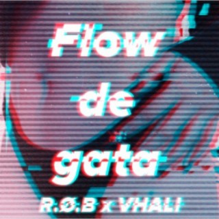 Flow de Gata (feat. Vhali)