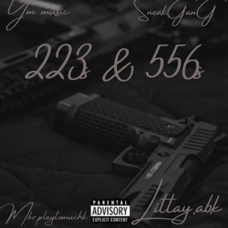 223s & 556s ft. Littay.abk | Boomplay Music