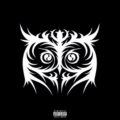 Owl | Boomplay Music