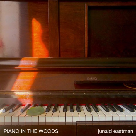 Piano In The Woods | Boomplay Music