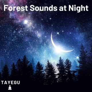 Forest Sounds at Night Sleep 1 Hour Crickets Owls and Frogs Relaxing Nature Ambient Yoga Meditation Sound For Sleeping or Study