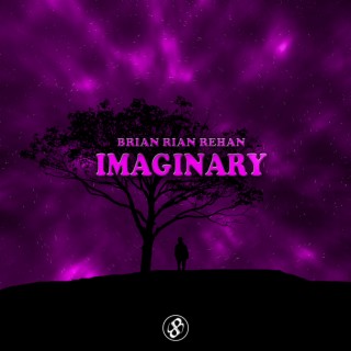 Imaginary