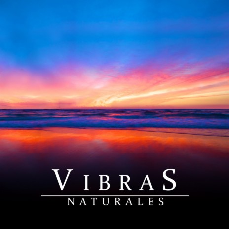 Vibras Naturales | Boomplay Music