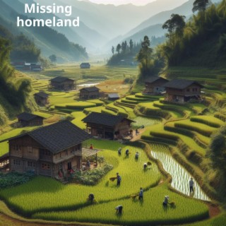 Missing homeland