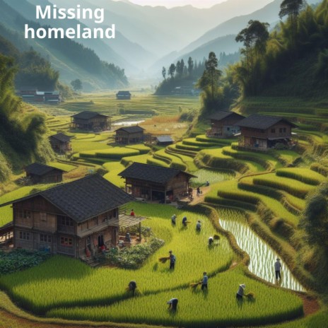 Missing homeland | Boomplay Music