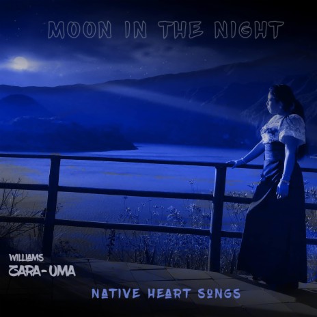 Moon in the Night | Boomplay Music