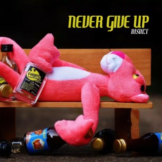 Never Give Up lyrics | Boomplay Music
