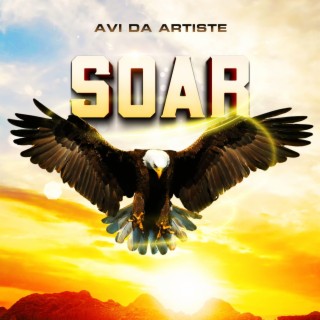 Soar