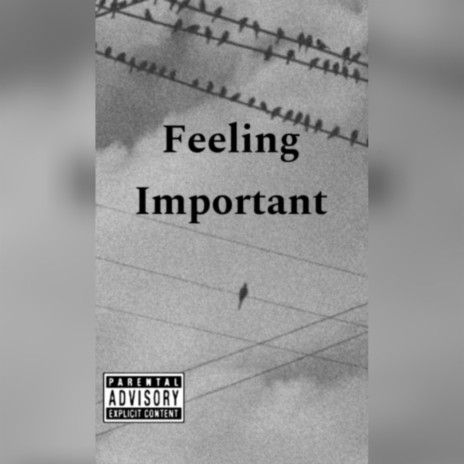 Feeling Important | Boomplay Music