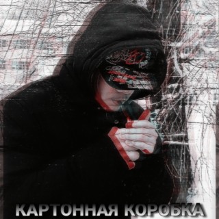 Картонная коробка