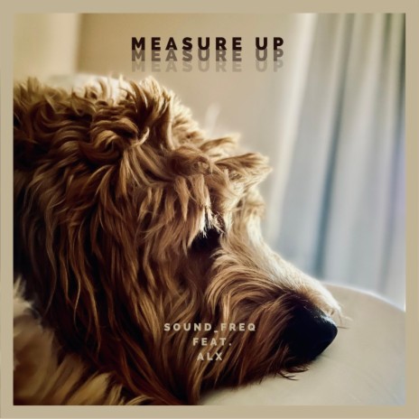 Measure Up (feat. ALX) | Boomplay Music