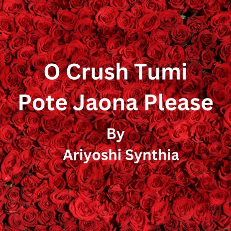 O Crush Tumi Pote Jaona Please | Boomplay Music