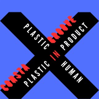 Plastic In Product