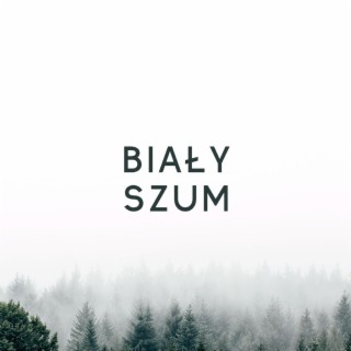 Biały Szum